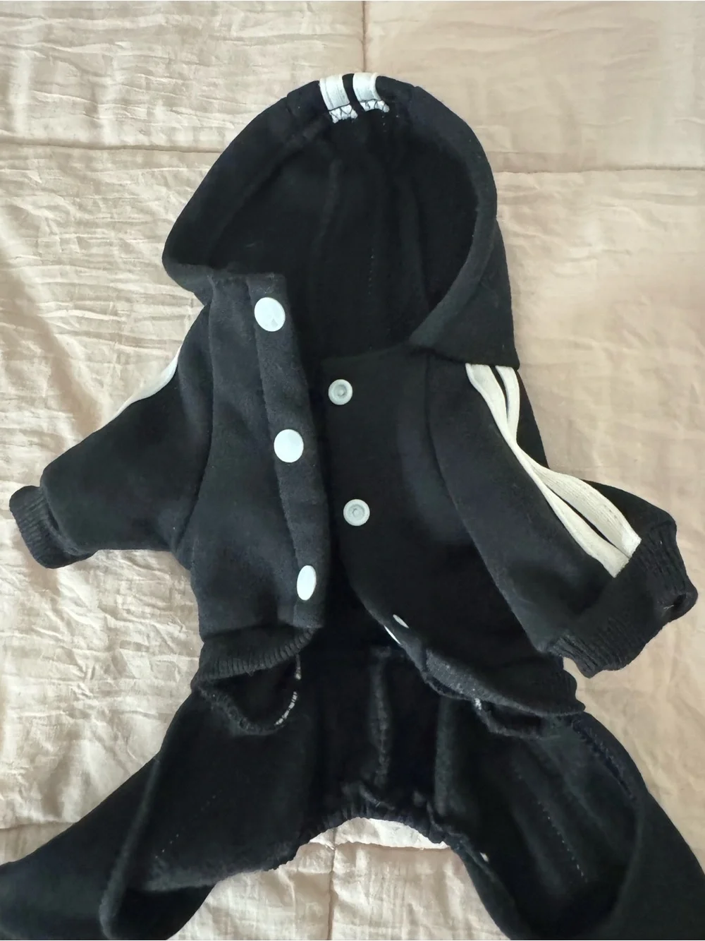 Black Dog Hoodie Tracksuit with White Stripes